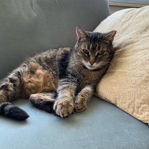 Meet your Posher, Mary